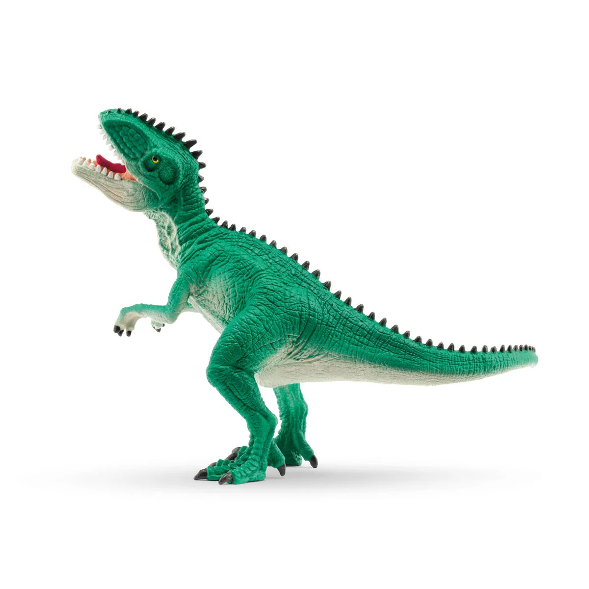 Miniatuur 2
