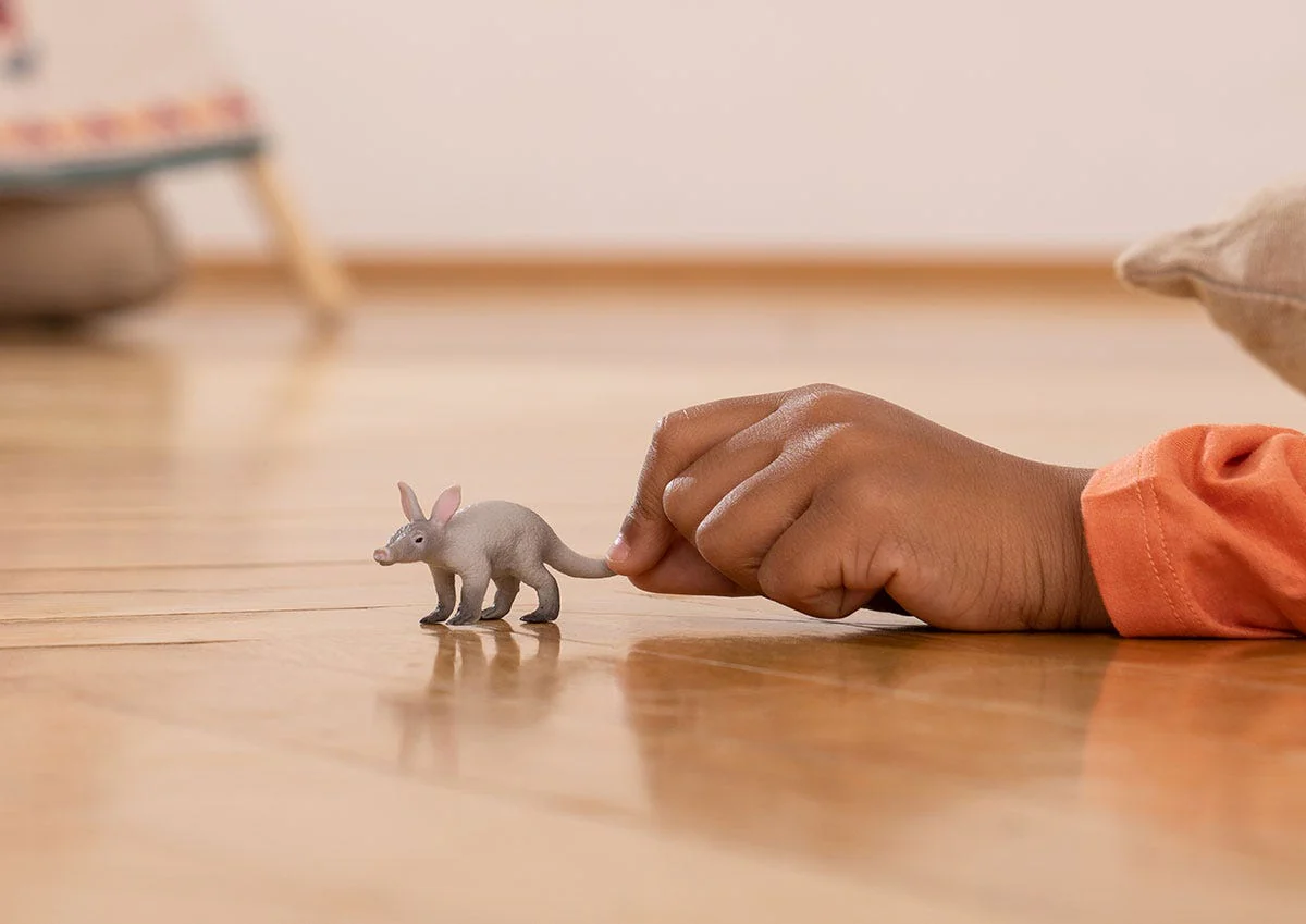 Aardvarken - Image 2