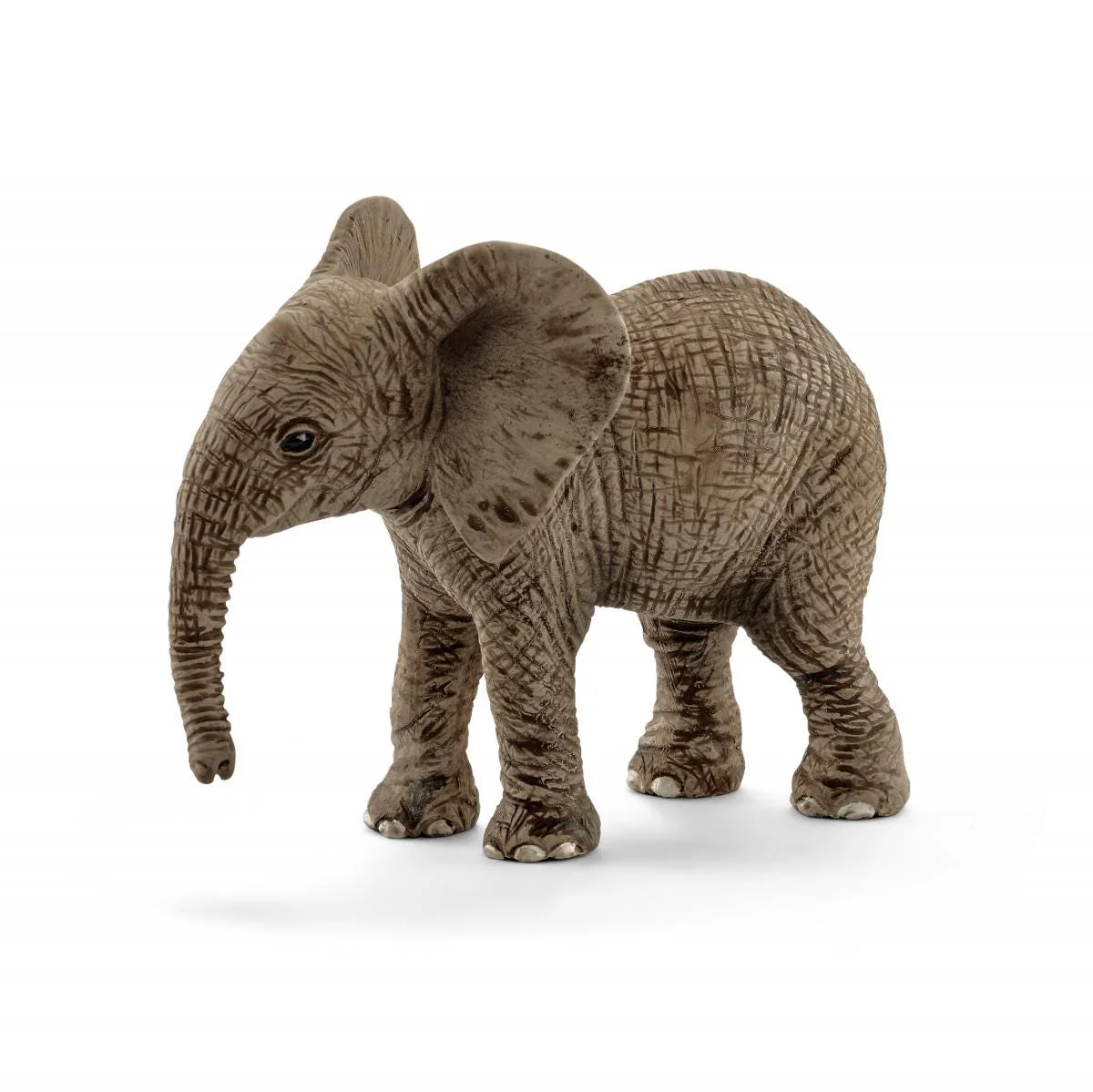 Miniatuur 1
