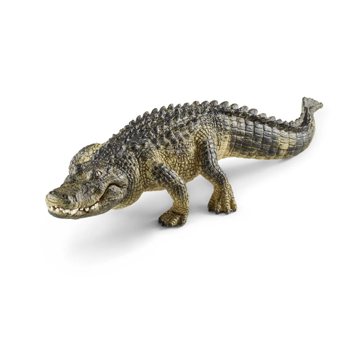 Miniatuur 2