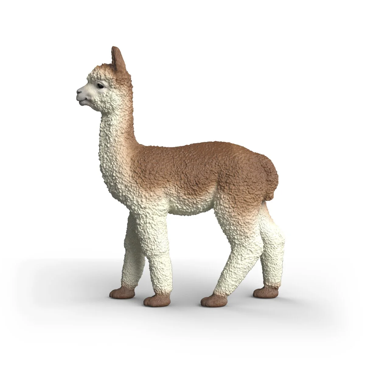 Alpaca - Image 3