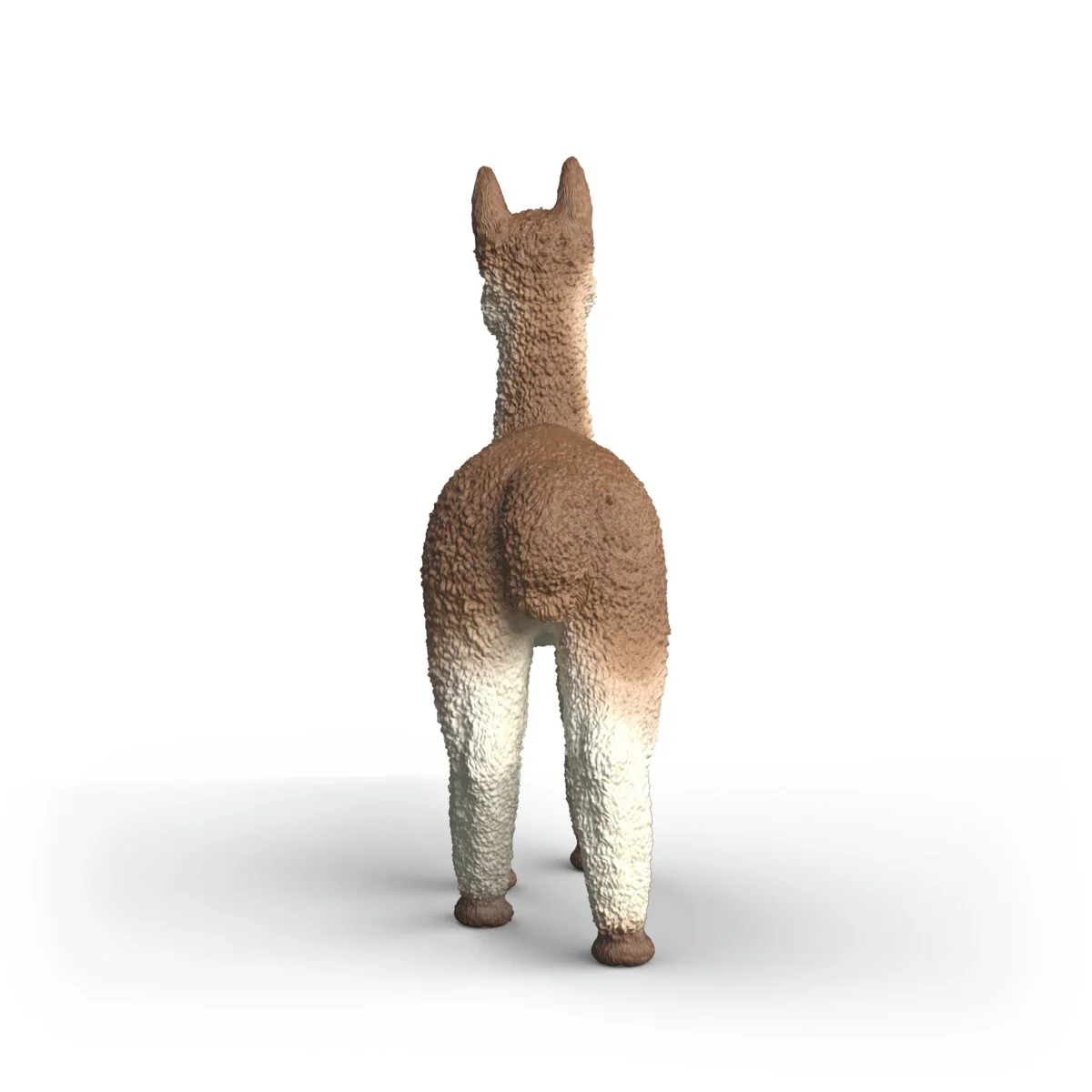 Alpaca - Image 4
