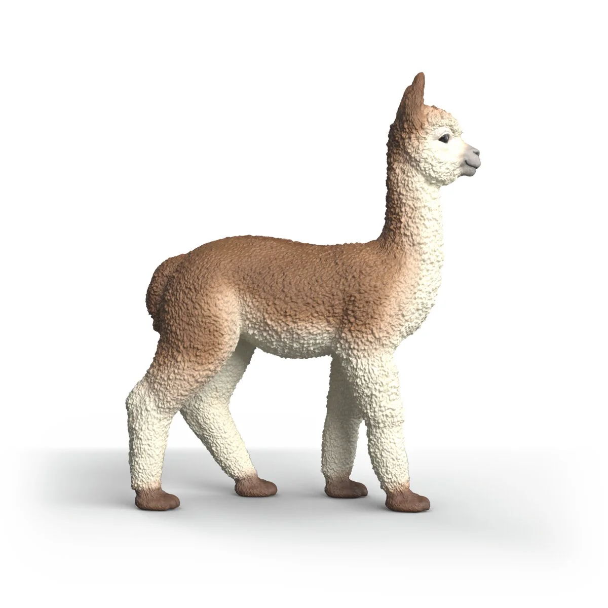 Alpaca - Image 5