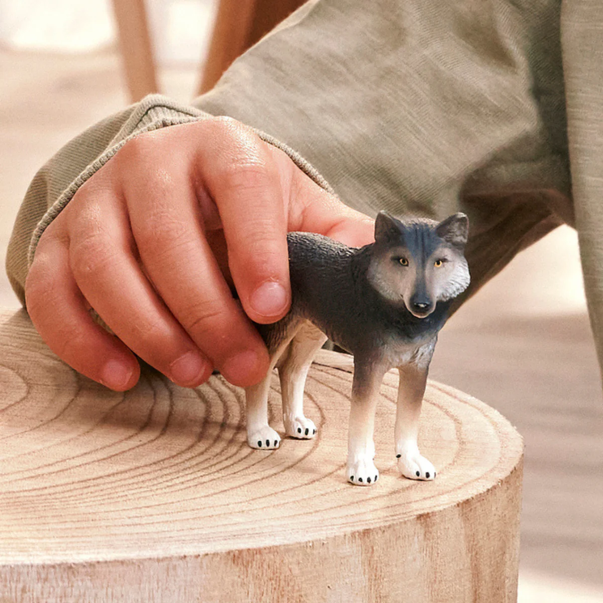 Amerikaanse wolf - Image 2