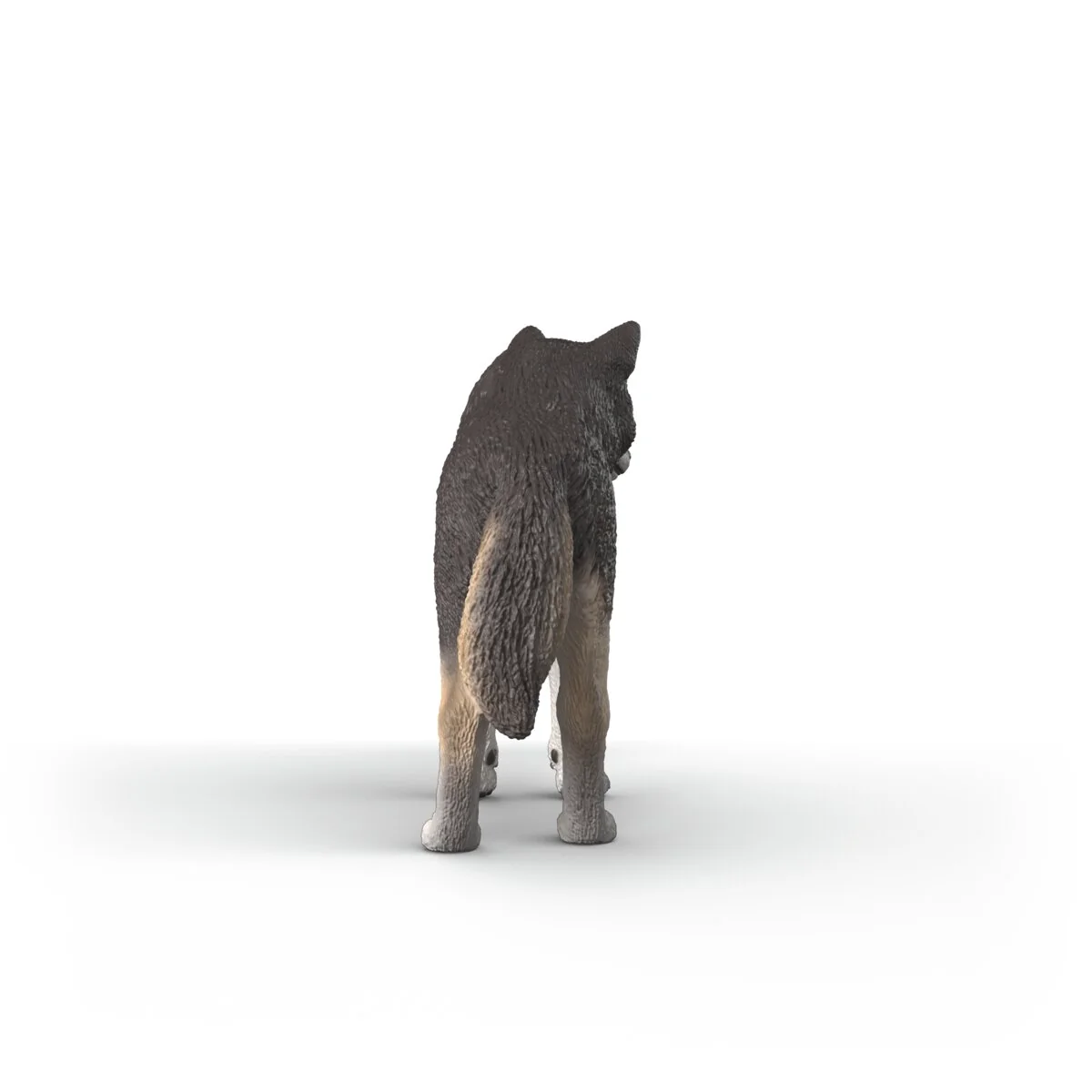 Amerikaanse wolf - Image 4