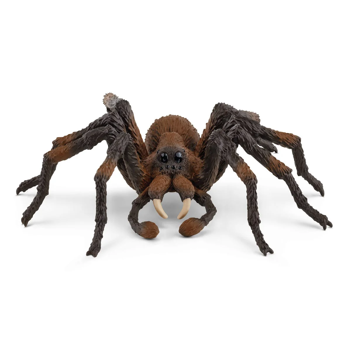 Aragog - Image 2