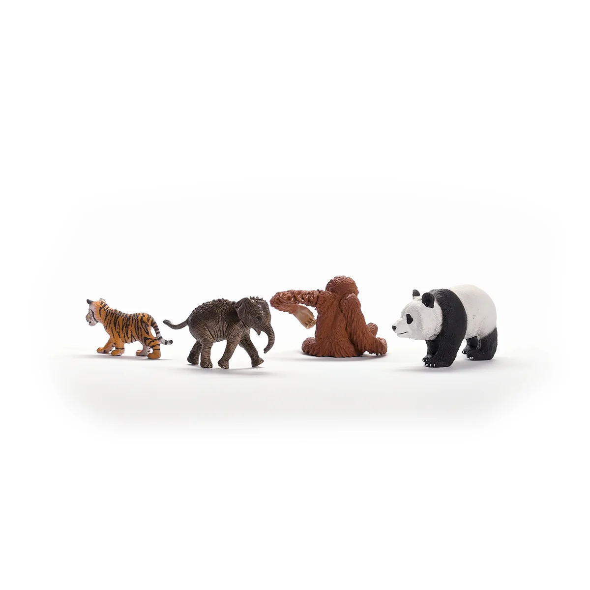 Wild Life Asia Starter Set - Image 3