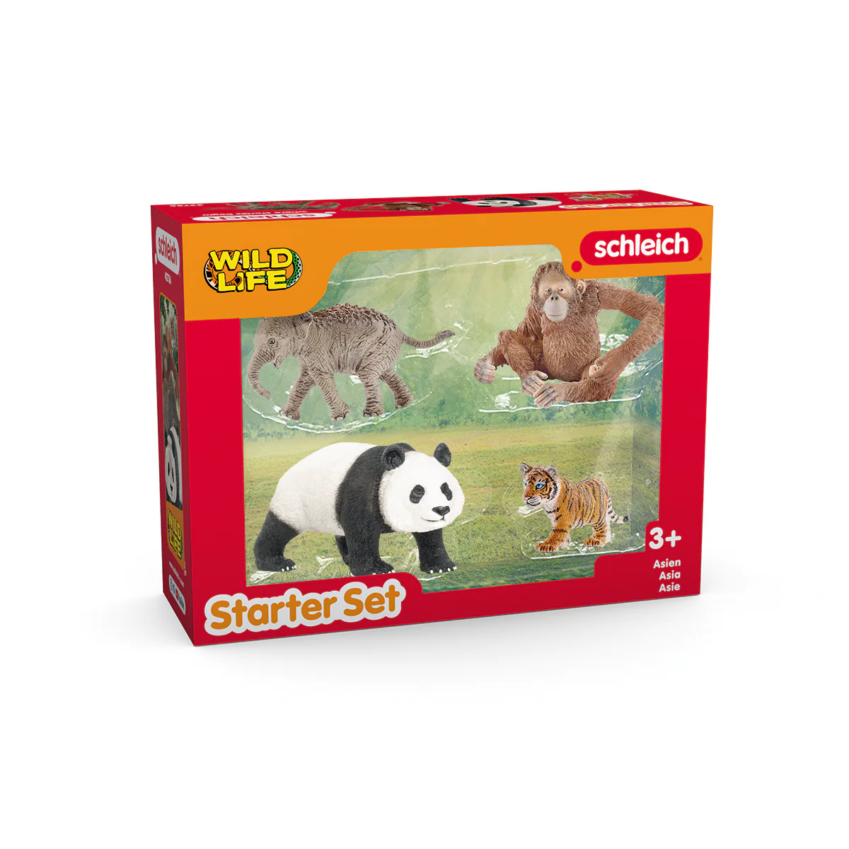 Wild Life Asia Starter Set - Image 4