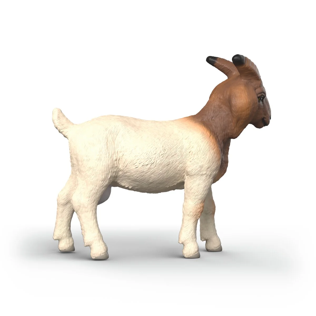 Boergeit - Image 3