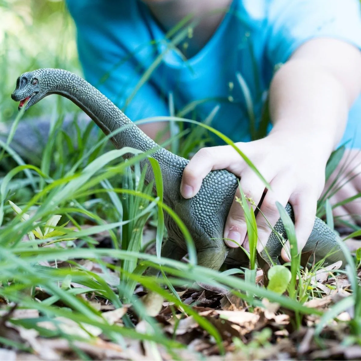 Brachiosaurus - Image 3