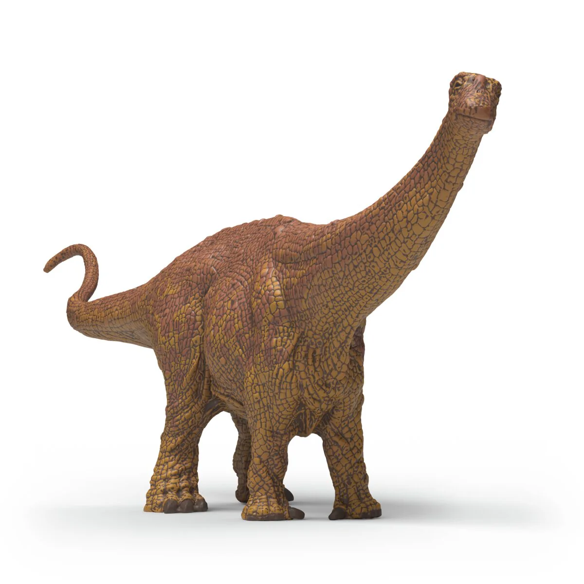 Brontosaurus - Image 3