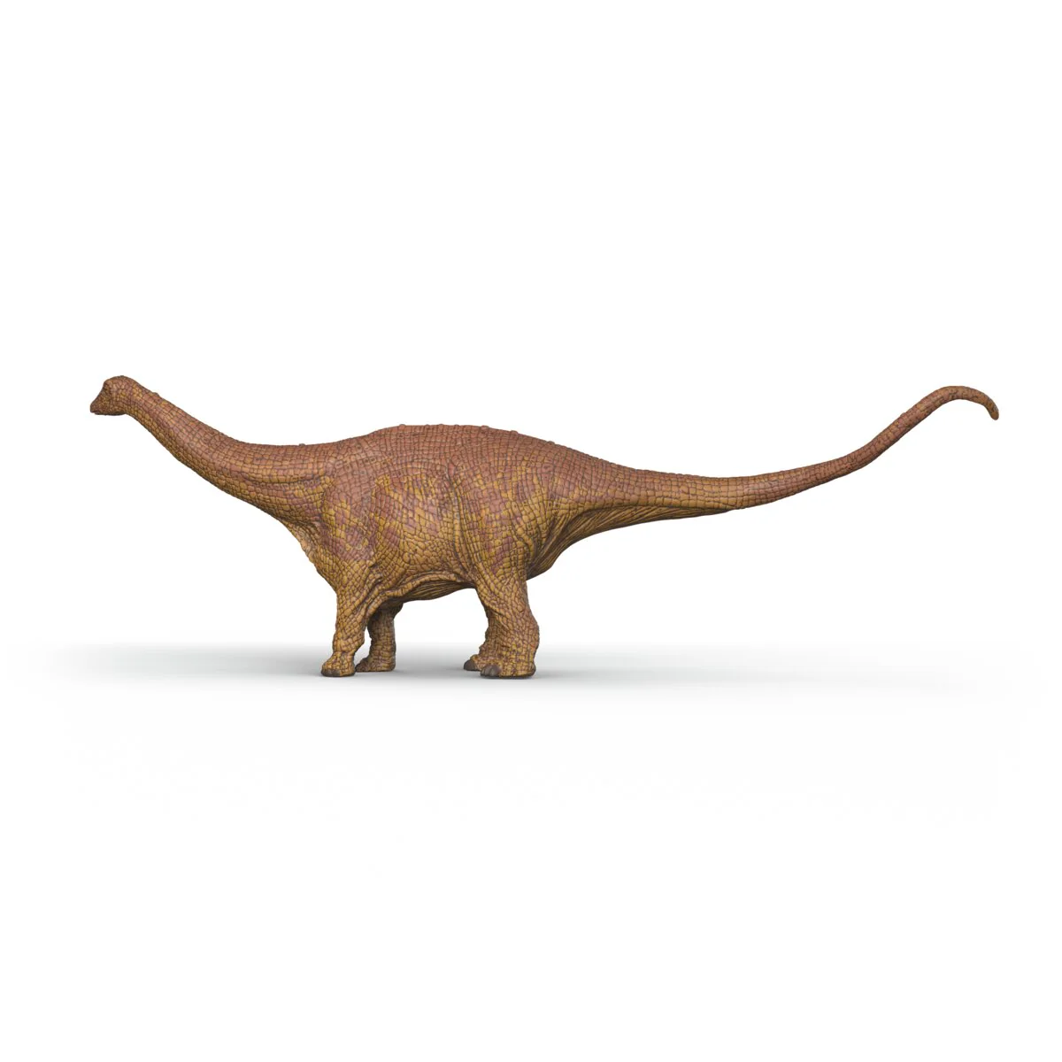 Brontosaurus - Image 5