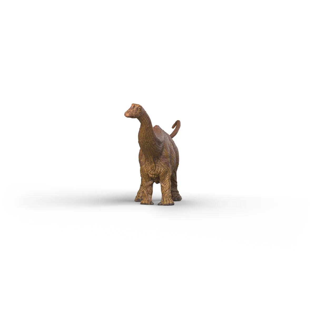 Brontosaurus - Image 6