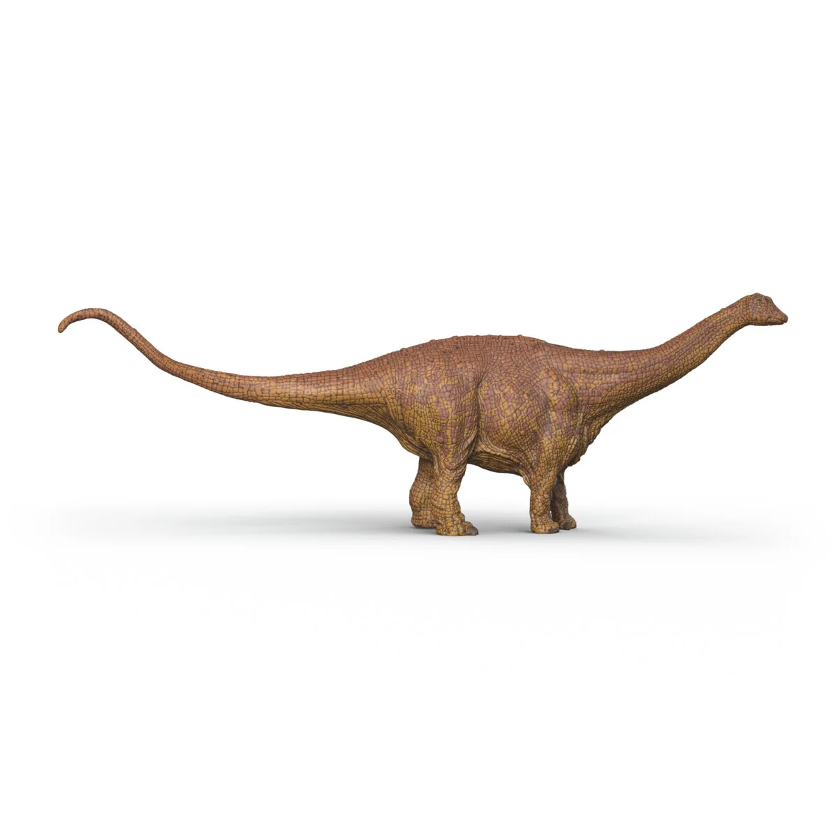 Brontosaurus - Image 7