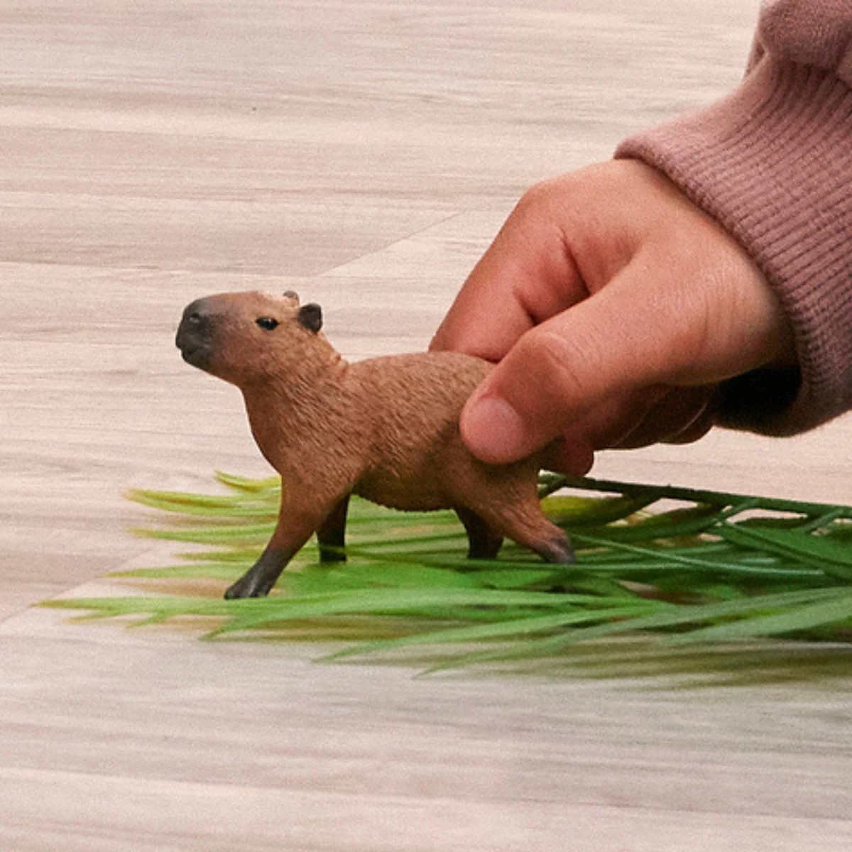 Capibara - Image 2