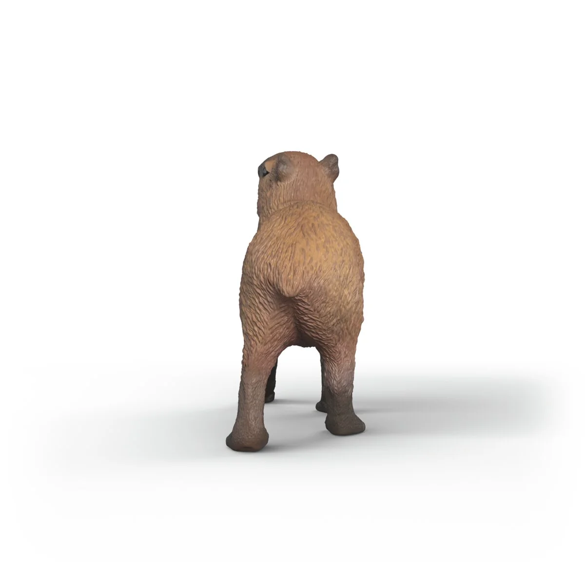 Capibara - Image 3