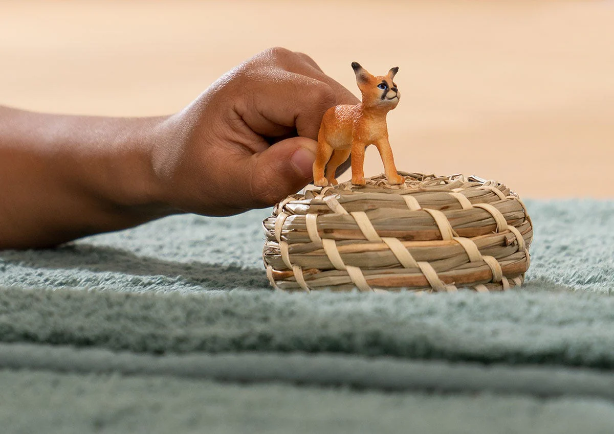 Caracalwelpje - Image 2