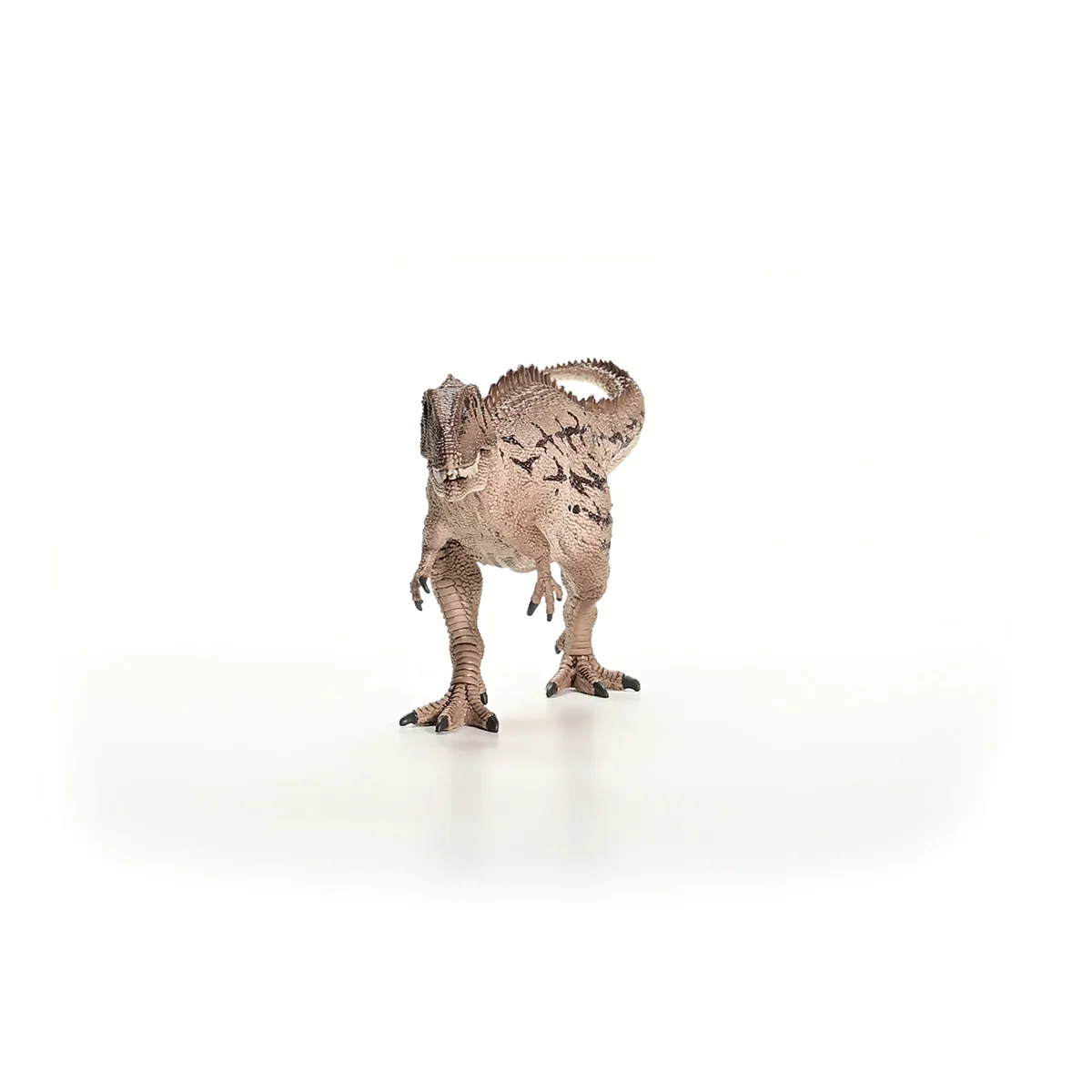 Carcharodontosaurus - Image 5