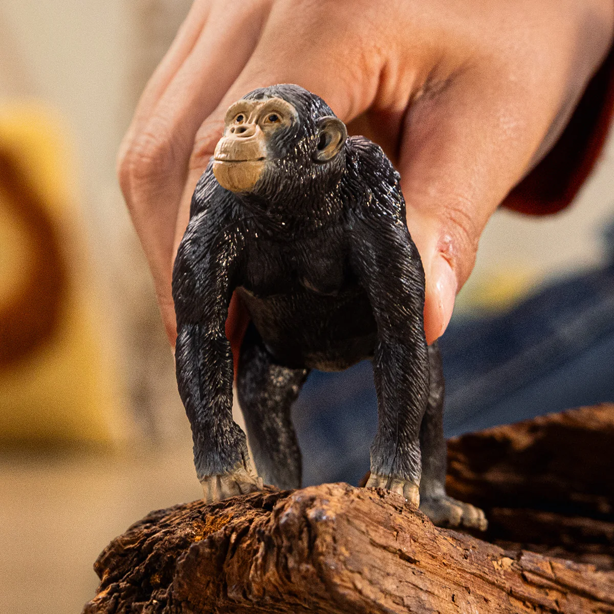 Chimpansee - Image 2