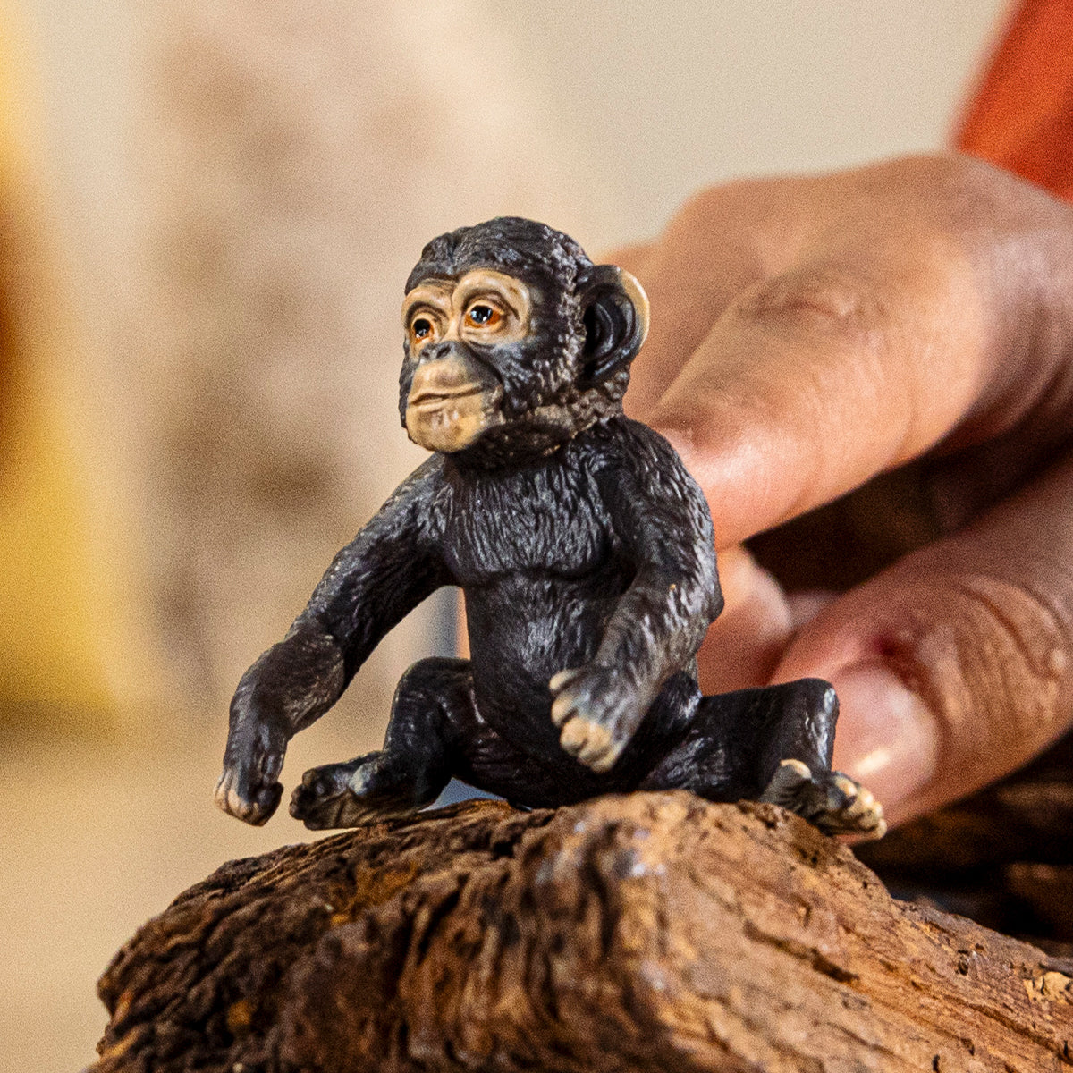 Chimpanseejong - Image 2