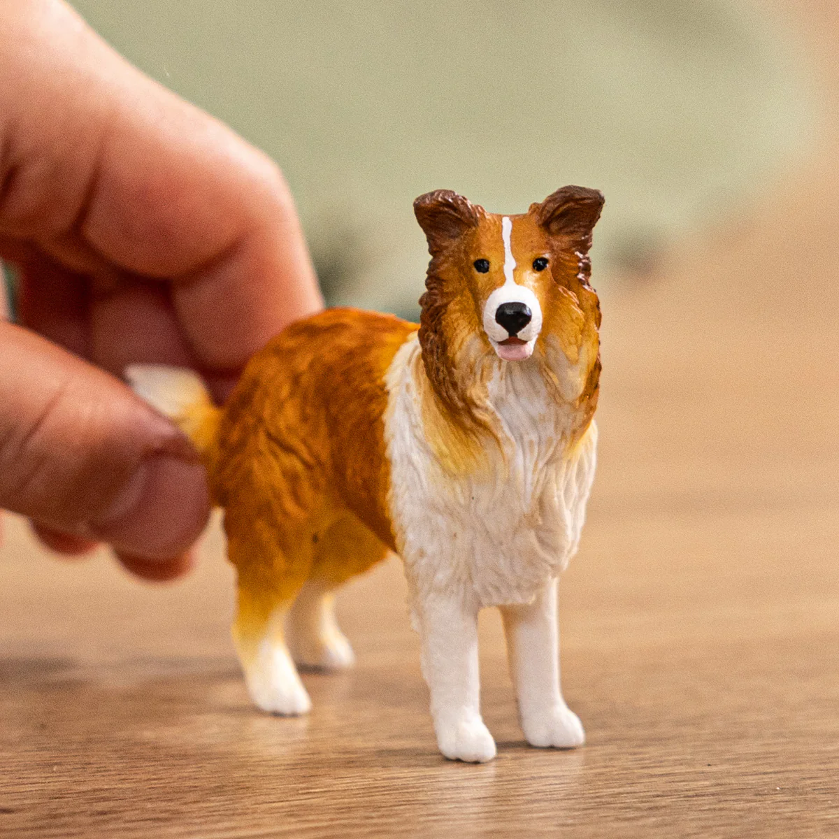 Collie  - Image 2