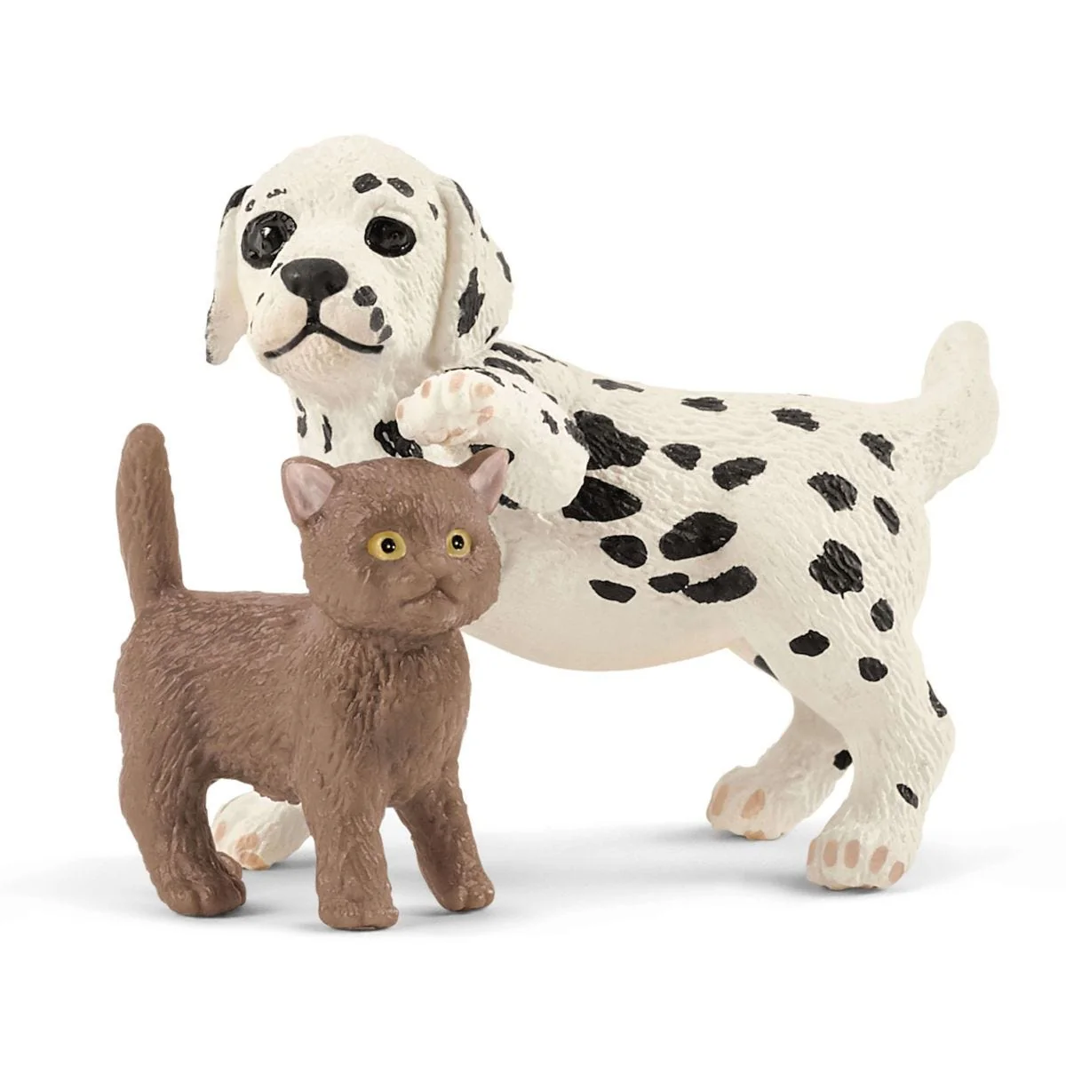 Dierenartspraktijk met huisdieren - Image 16