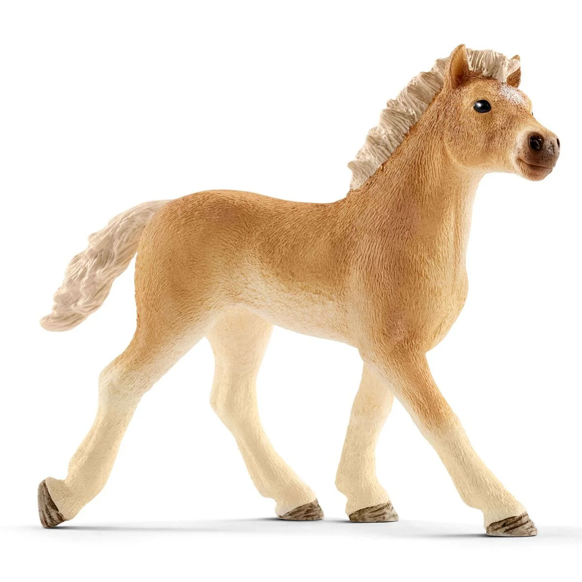 Dierenartspraktijk met huisdieren - Image 18