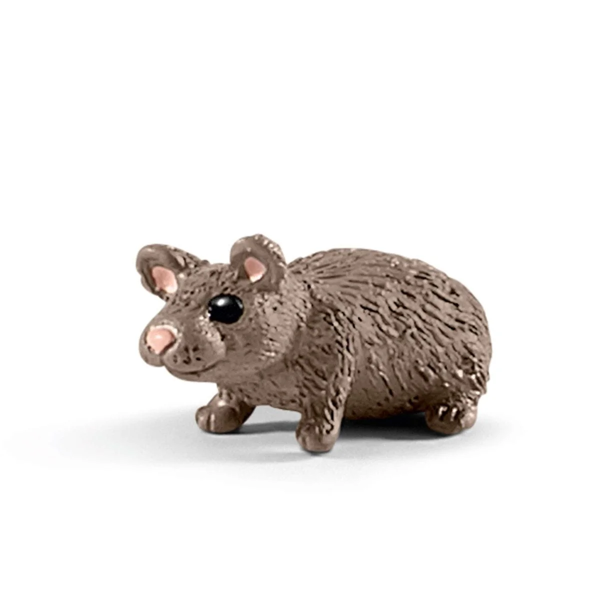 Dierenartspraktijk met huisdieren - Image 20