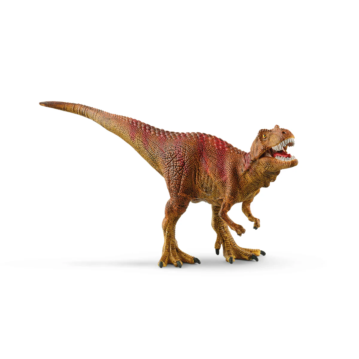 Dinohelikopterredding - Image 3