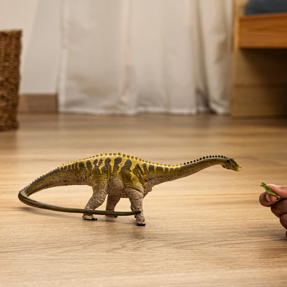 Diplodocus - Image 2
