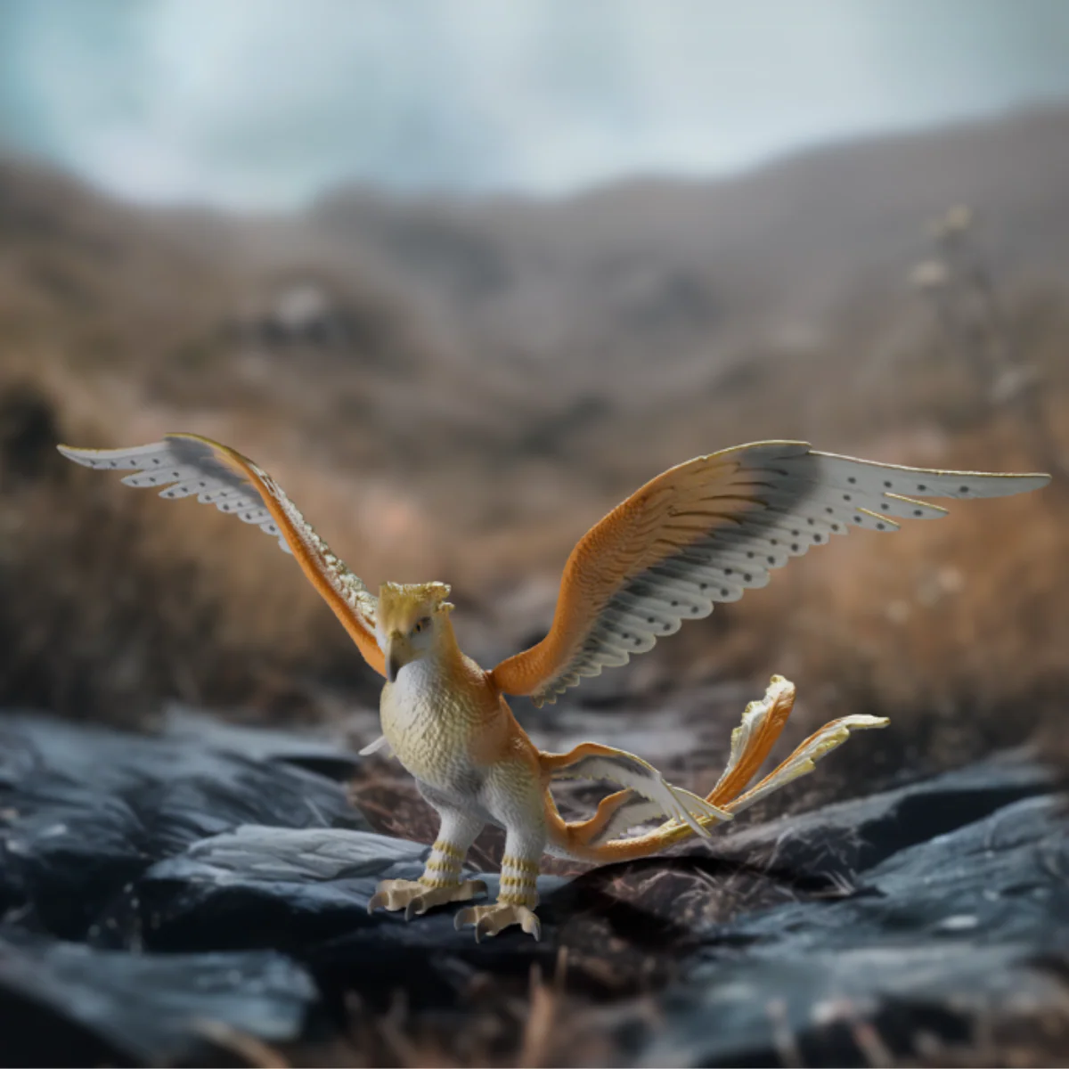 Dondervogel - Image 2