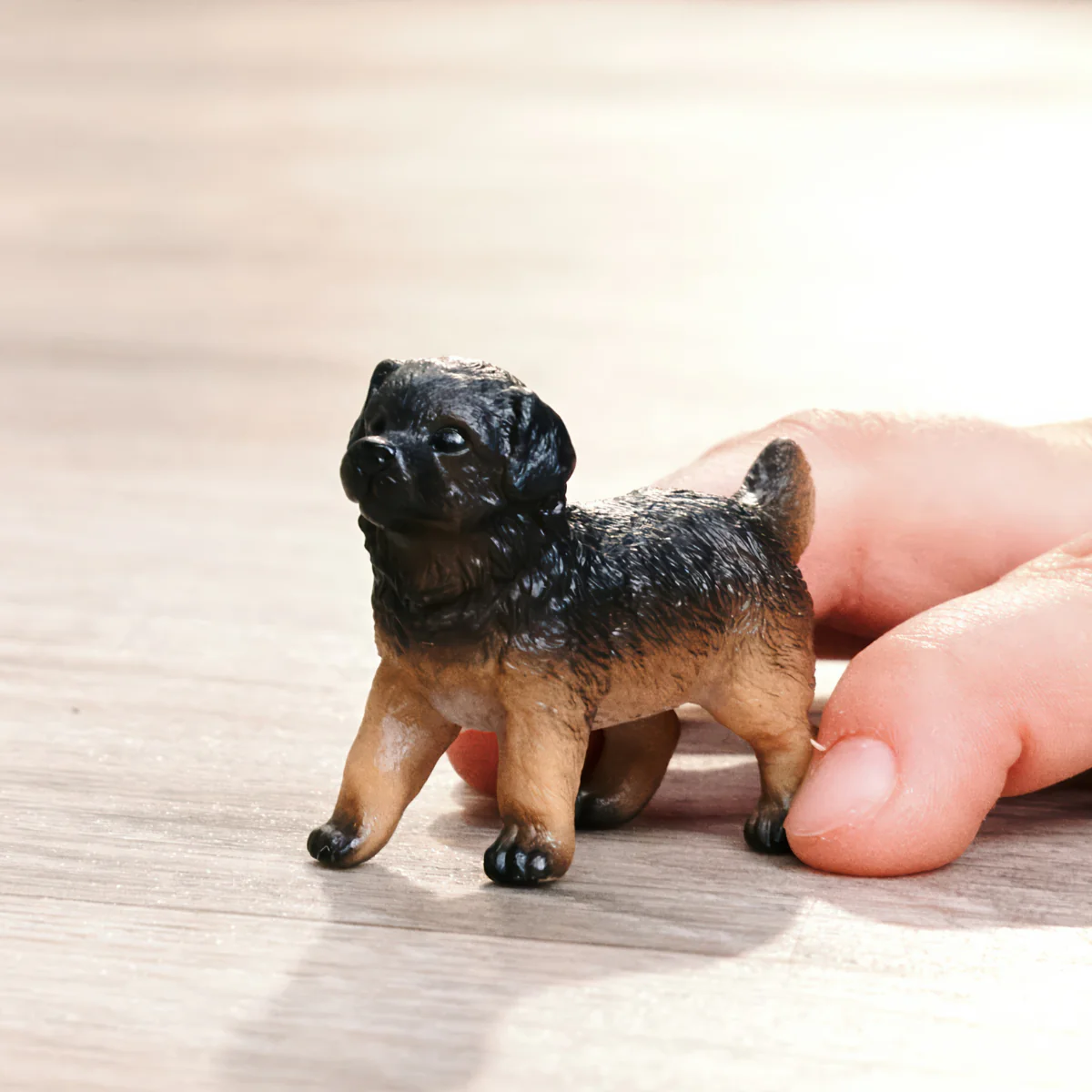 Duitse herder pup - Image 2