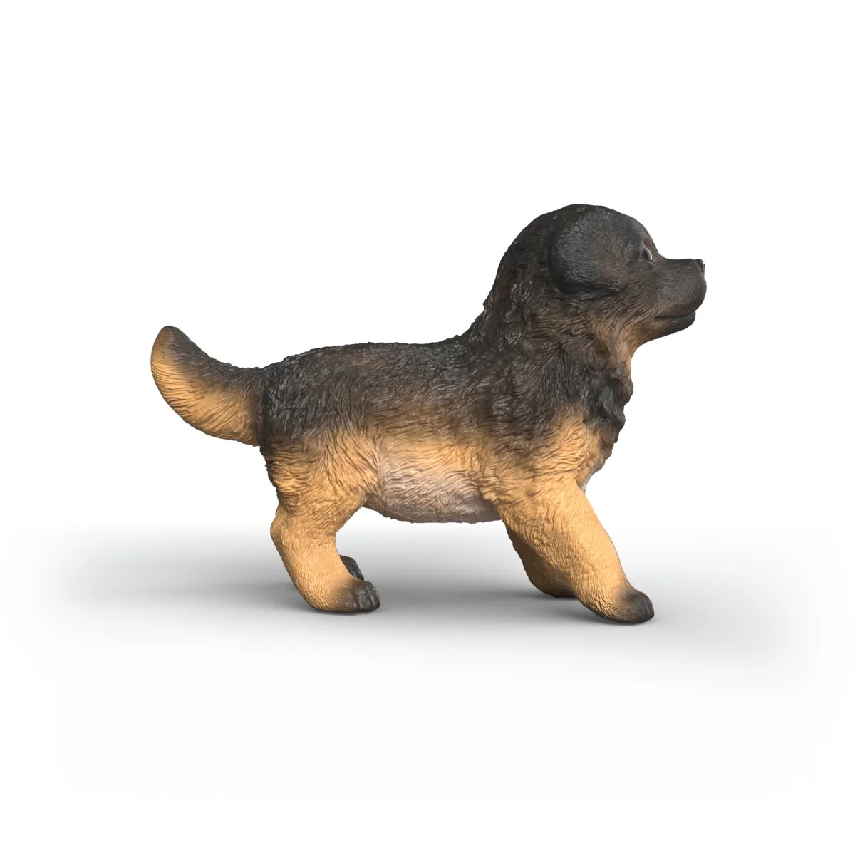 Duitse herder pup - Image 3