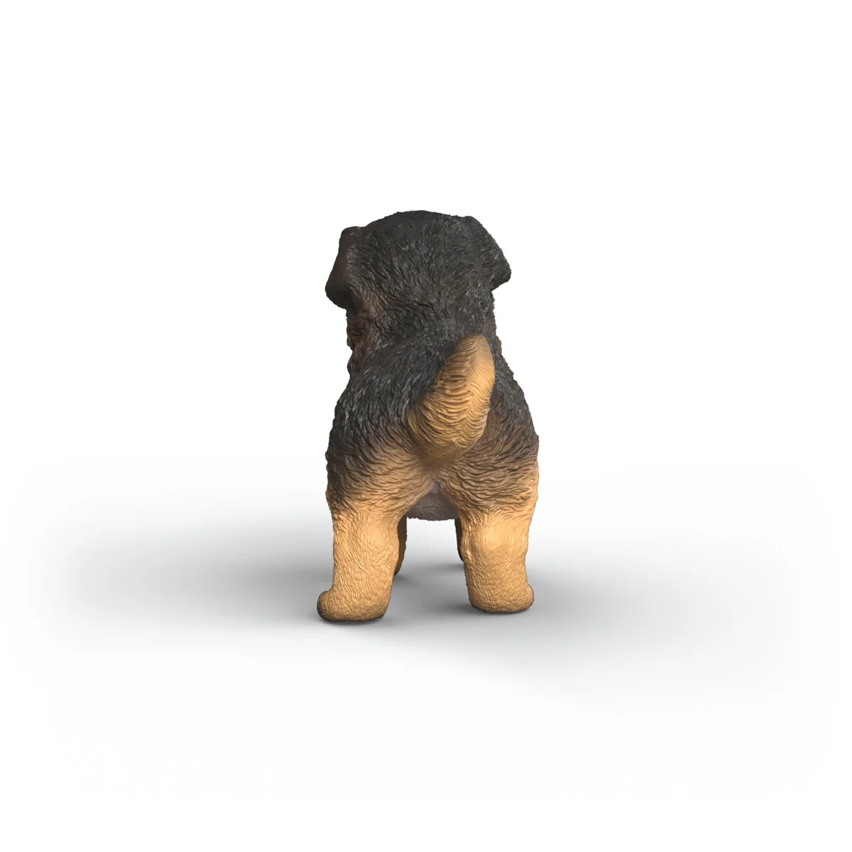 Duitse herder pup - Image 4