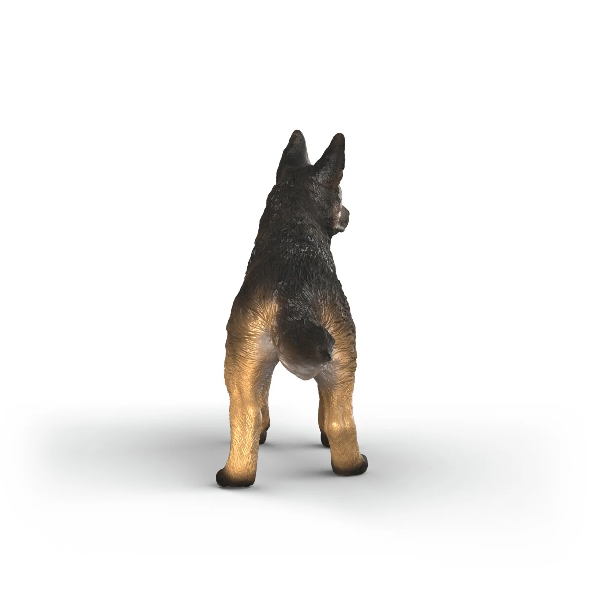 Duitse herder teef - Image 3