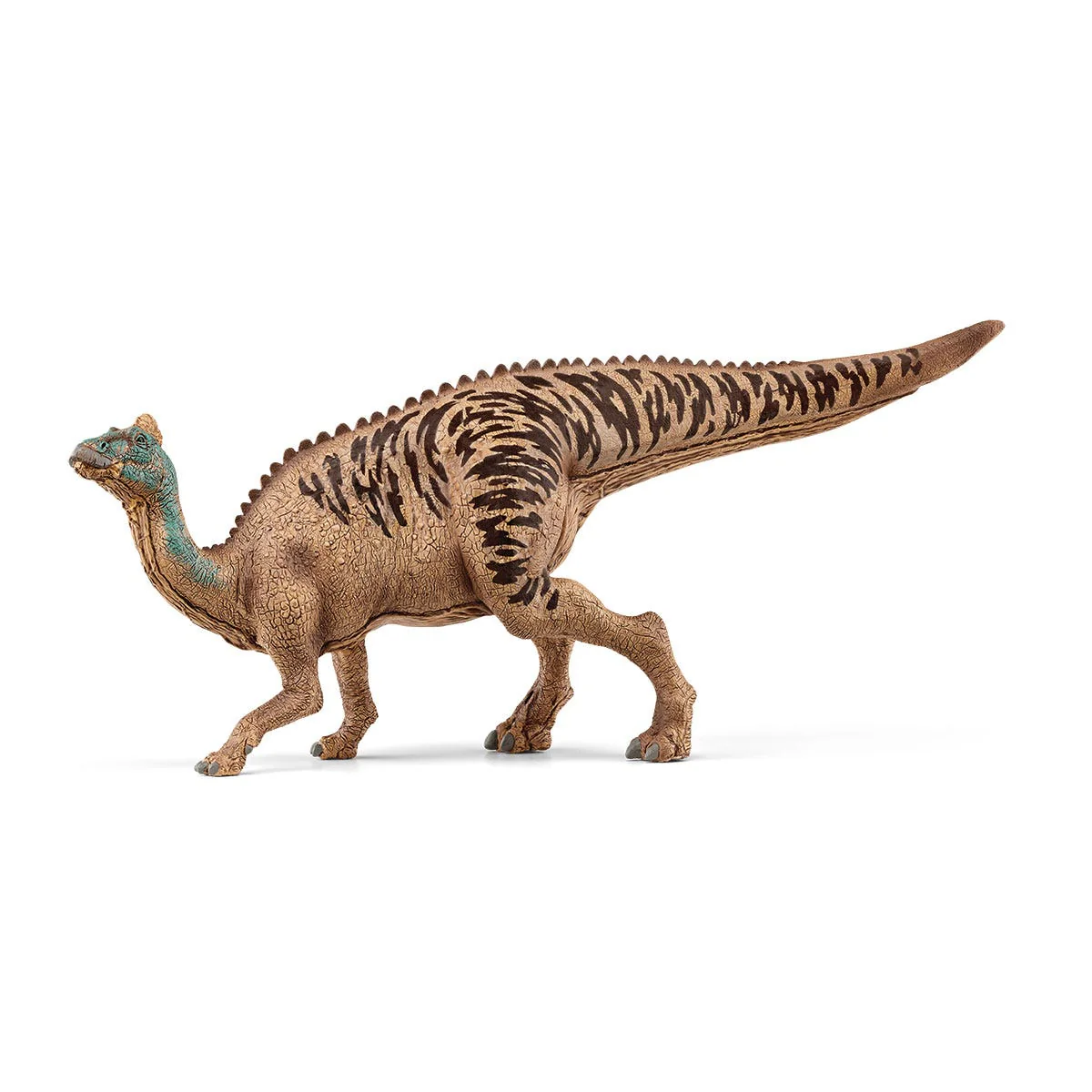 Miniatuur 1