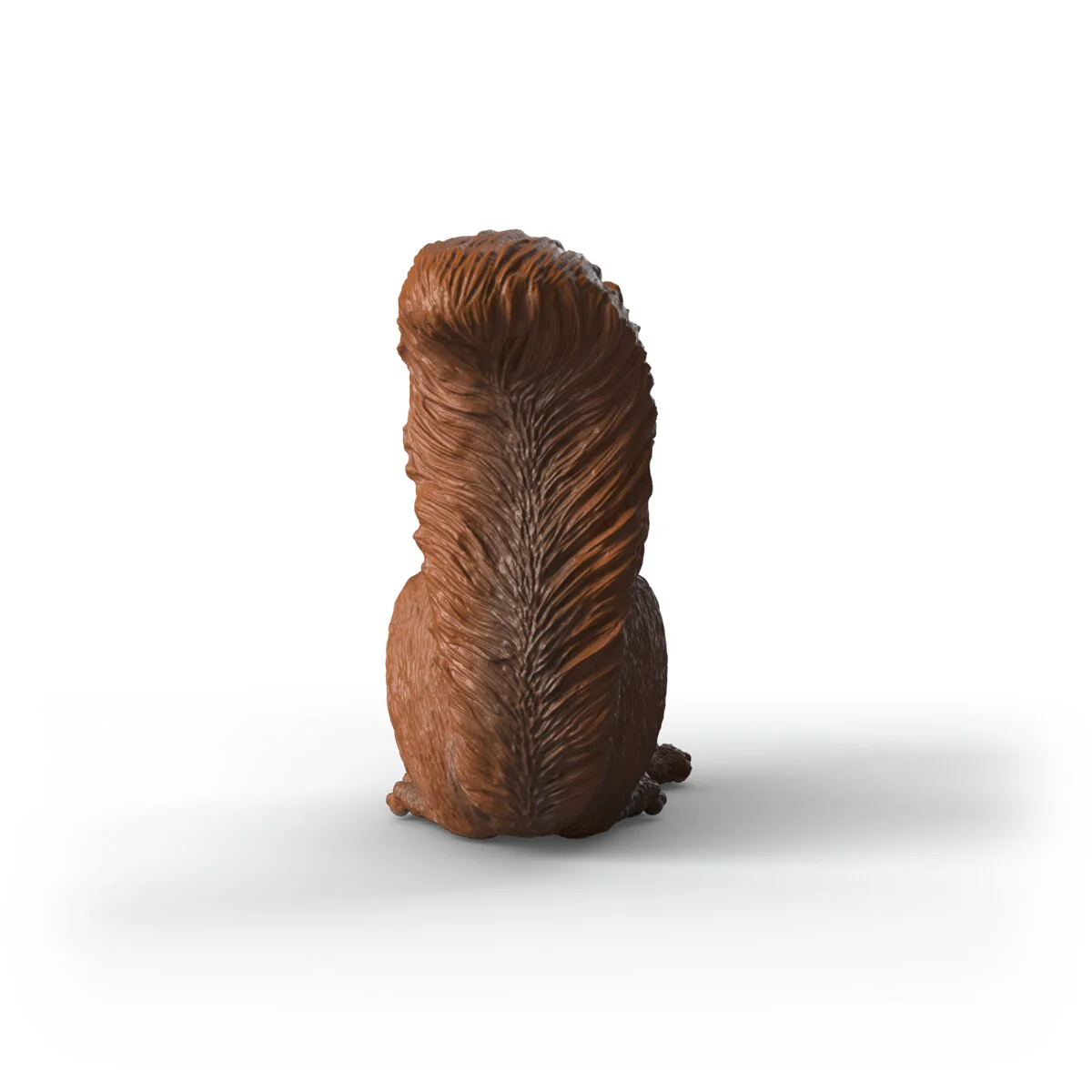 Eekhoorn - Image 4