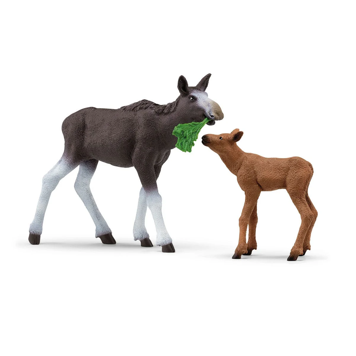 Miniatuur 1