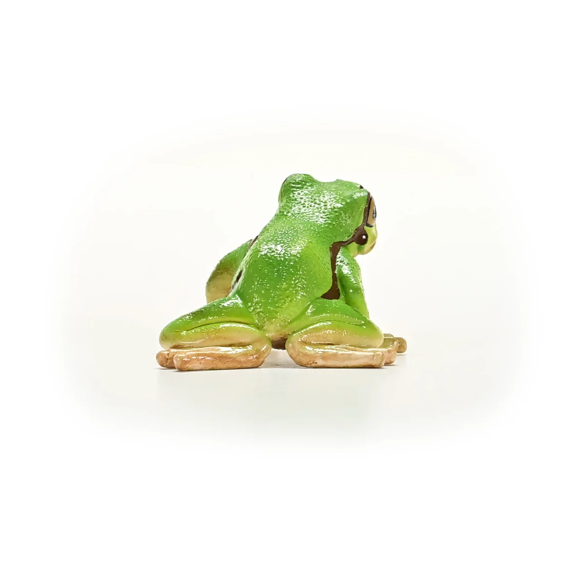 Europese boomkikker - Image 3