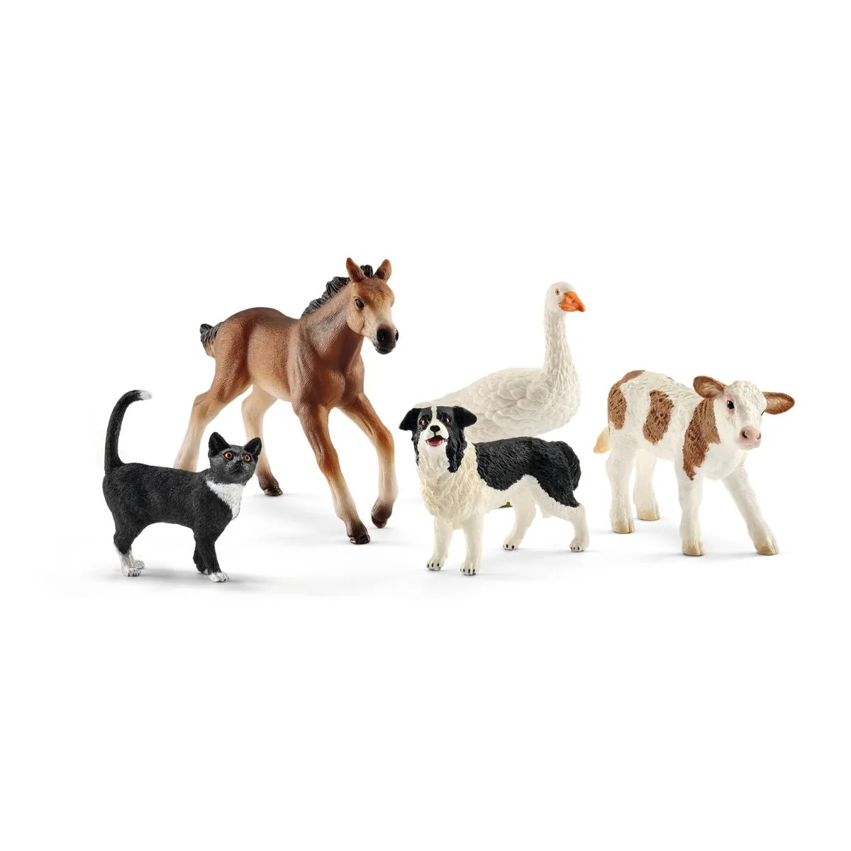 Miniatuur 1