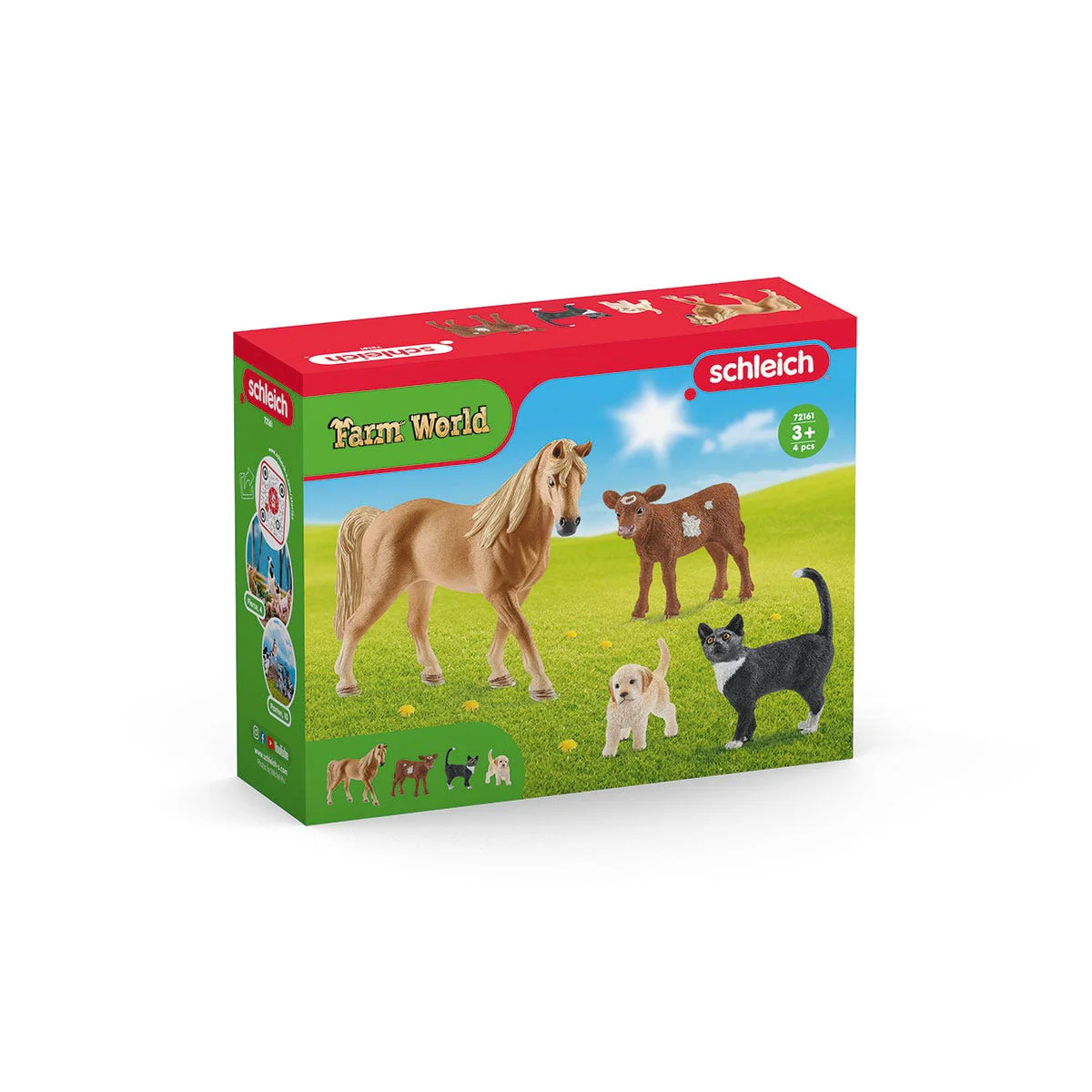 Miniatuur 2