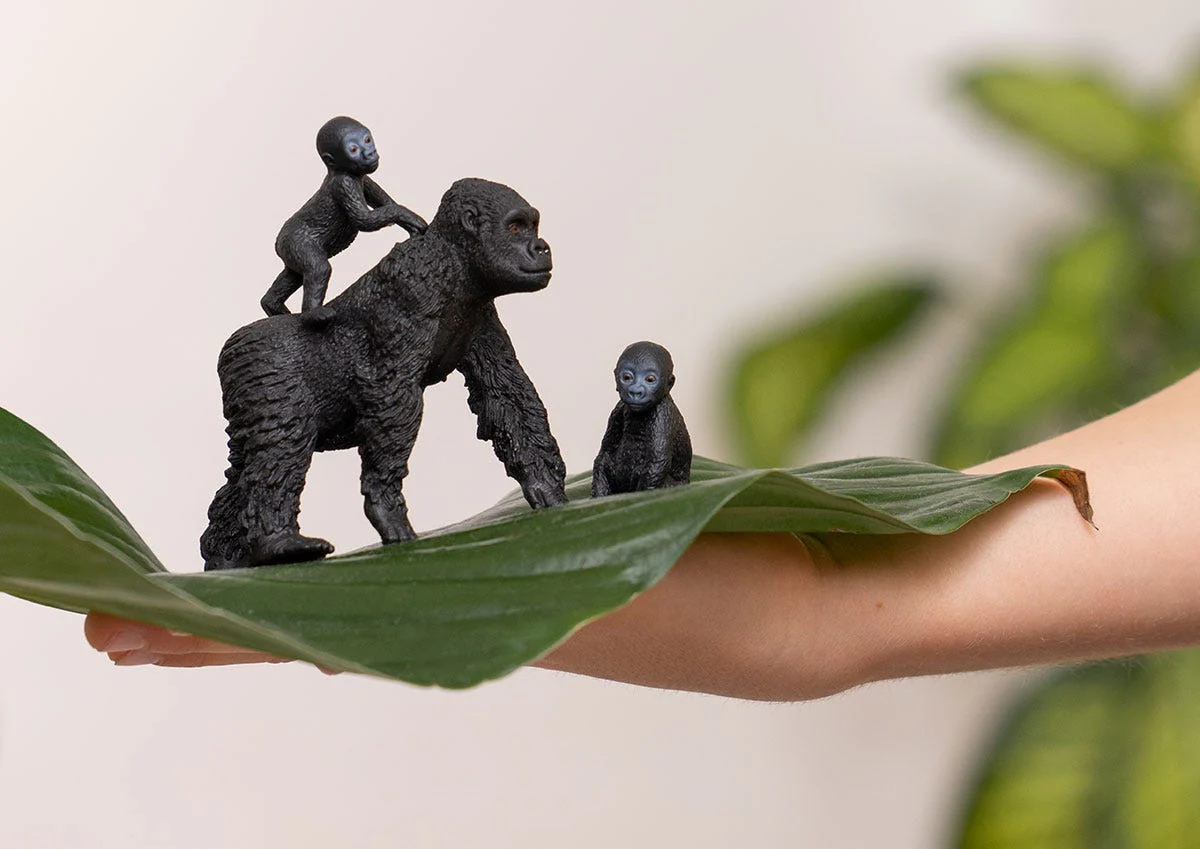 Miniatuur 2