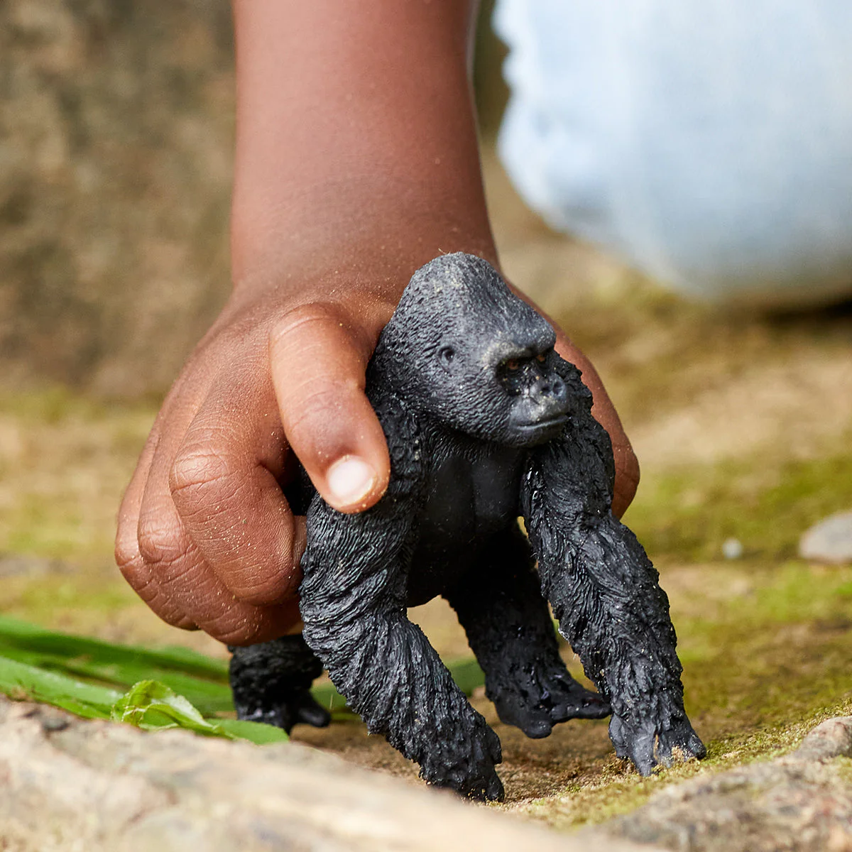Gorillamannetje - Image 4
