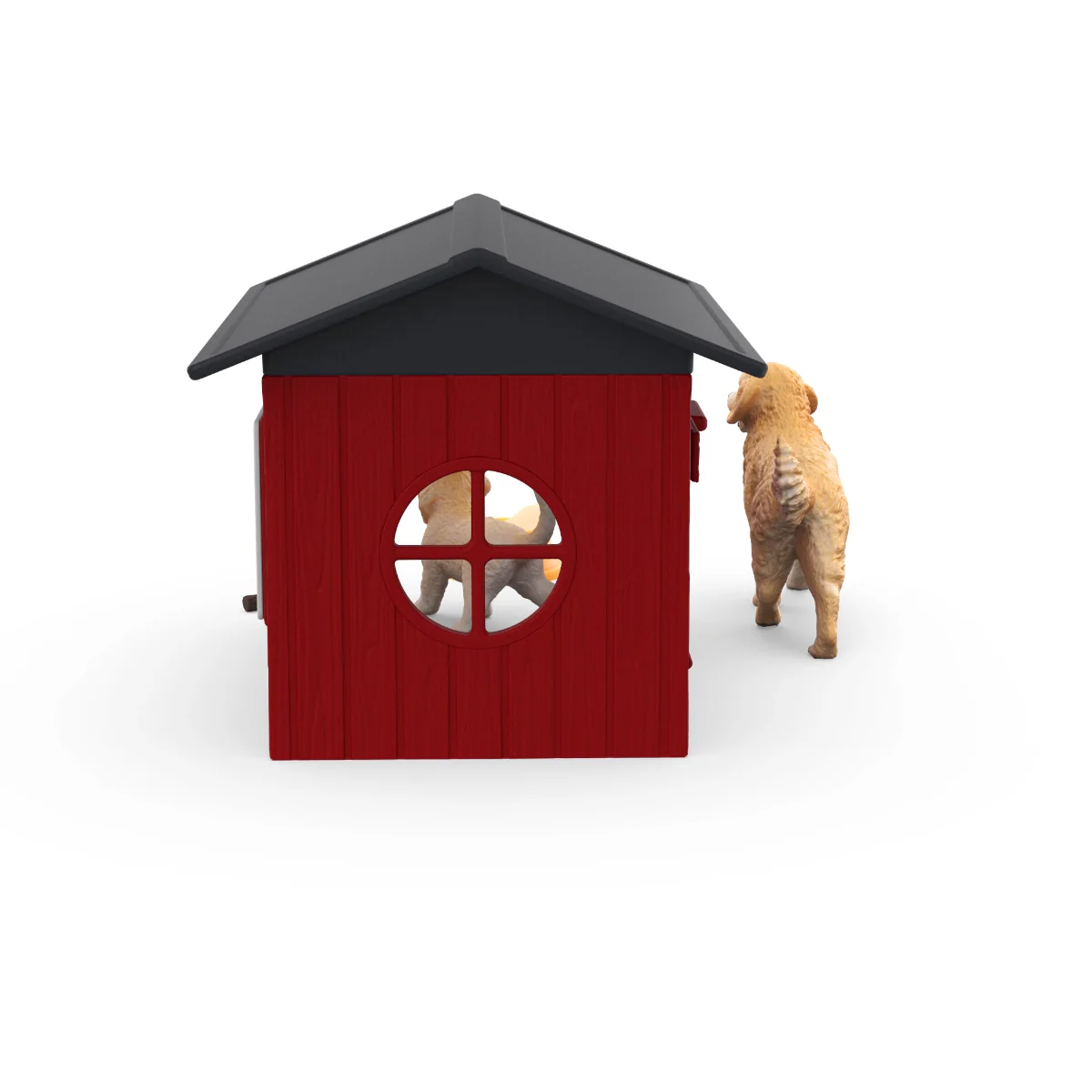 Hondenhok met golden retrievers  - Image 3