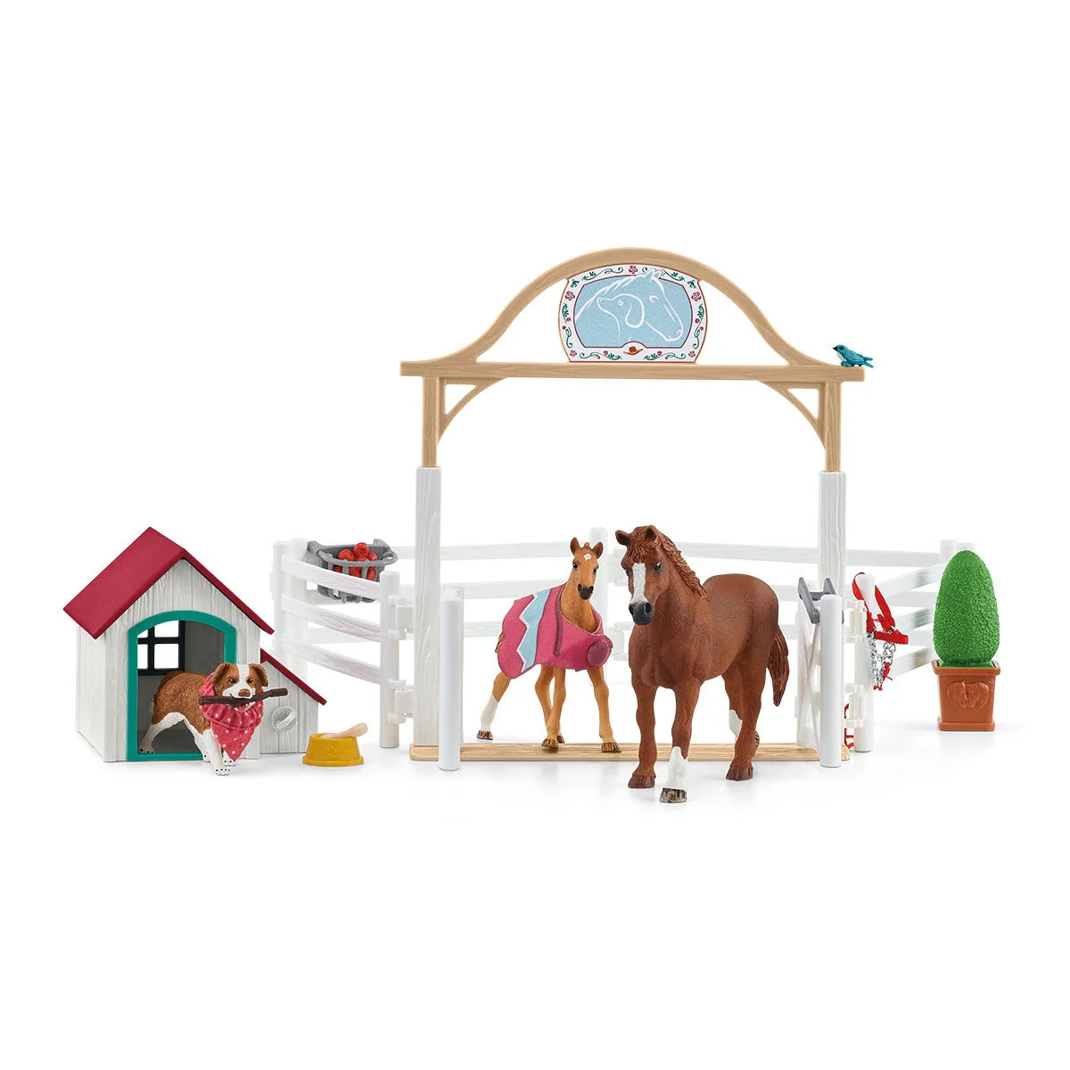 HORSE CLUB Hannahs gastpaarden met hond Ruby - Image 12