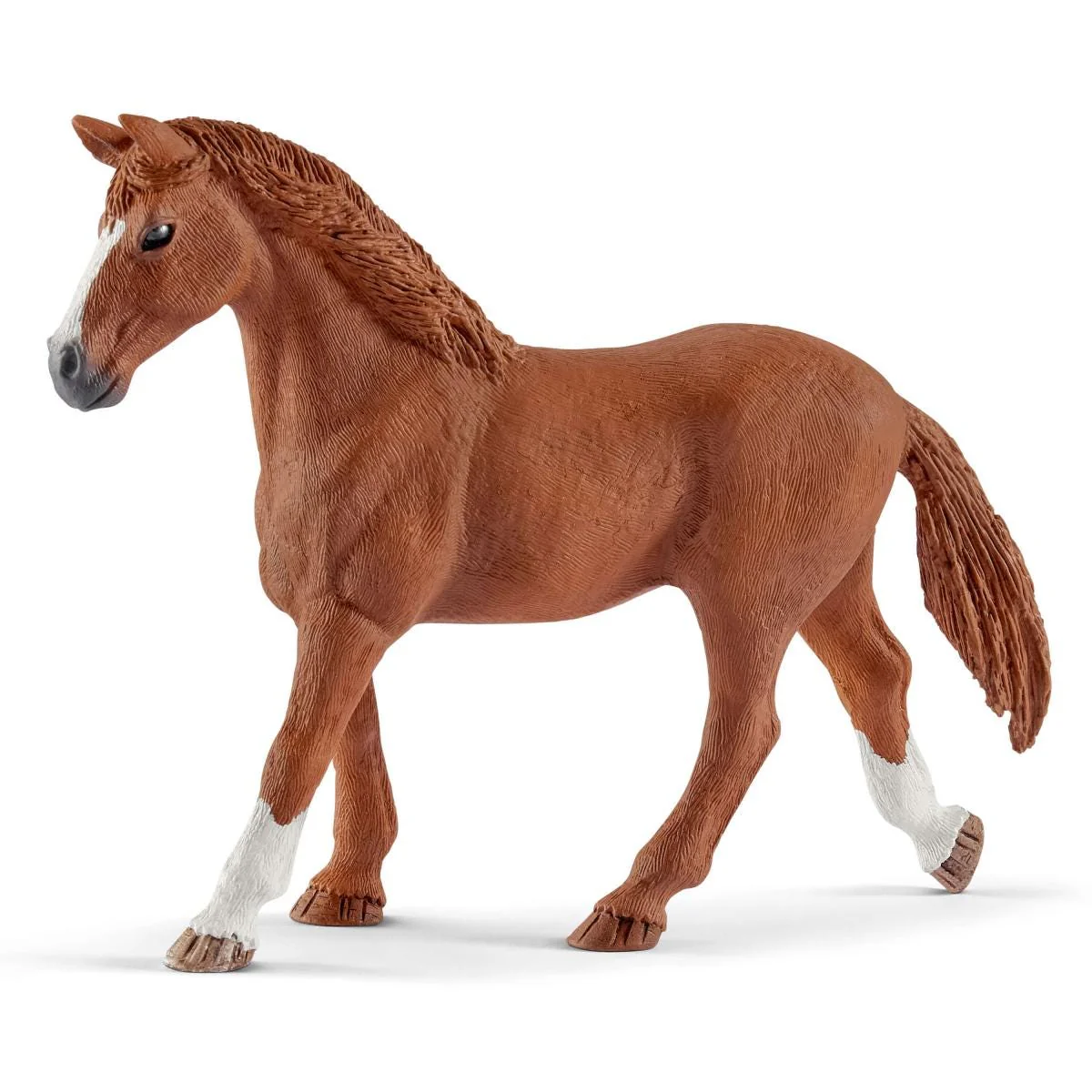 HORSE CLUB Hannahs gastpaarden met hond Ruby - Image 6
