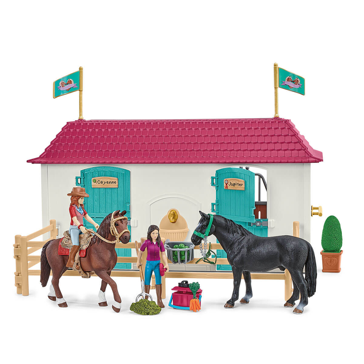 HORSE CLUB Lakeside paardenboerderij - Image 7