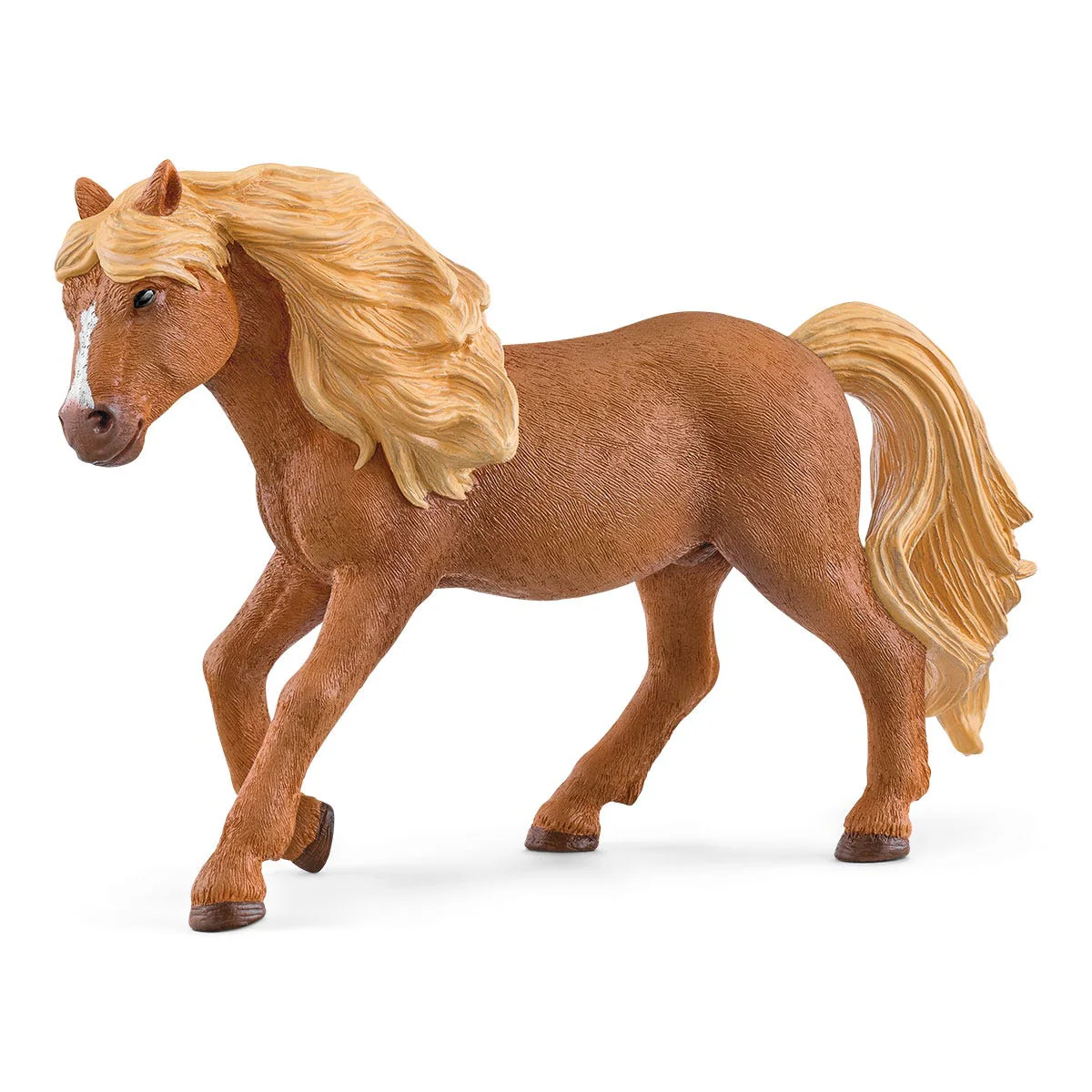 IJslander ponyhengst
