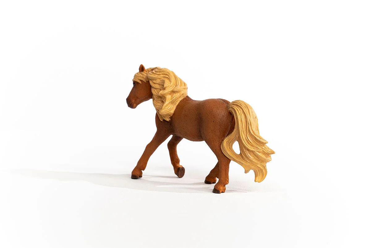 IJslander ponyhengst - Image 2