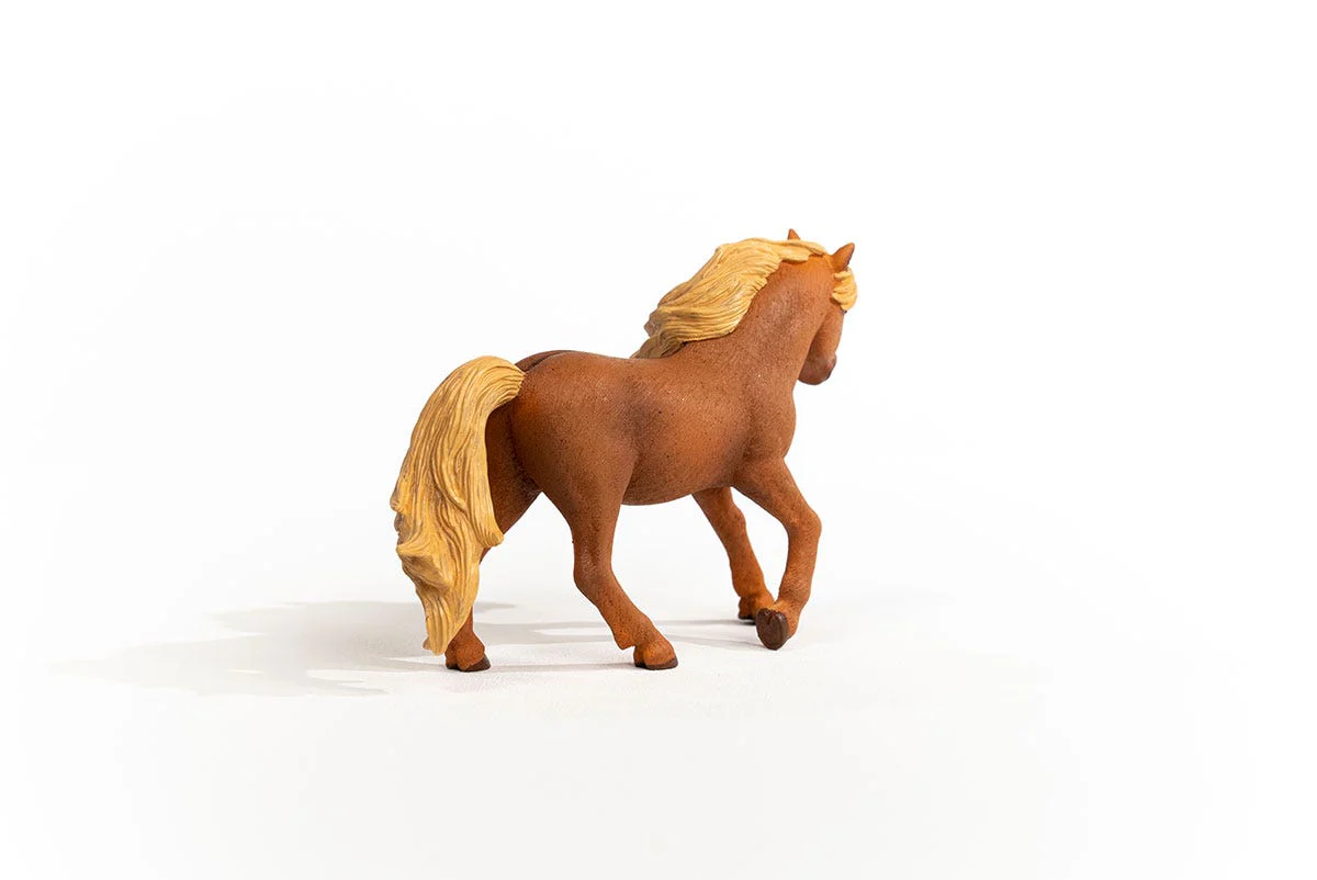IJslander ponyhengst - Image 3